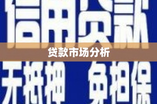 洛扎贷款市场分析
