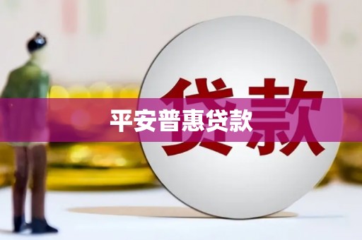 禄丰平安普惠贷款