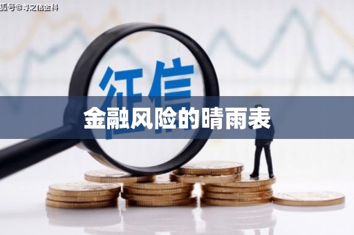 庄浪金融风险的晴雨表