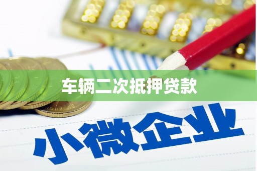皇姑车辆二次抵押贷款