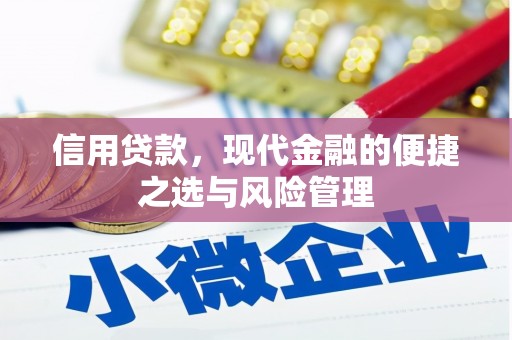 水林信用贷款，现代金融的便捷之选与风险管理