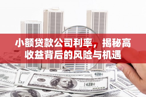 荷塘小额贷款公司利率，揭秘高收益背后的风险与机遇