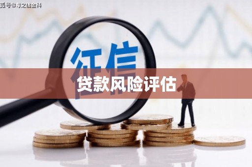 茂县贷款风险评估