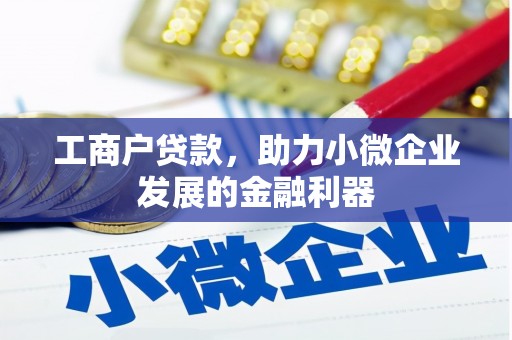 巍山工商户贷款，助力小微企业发展的金融利器