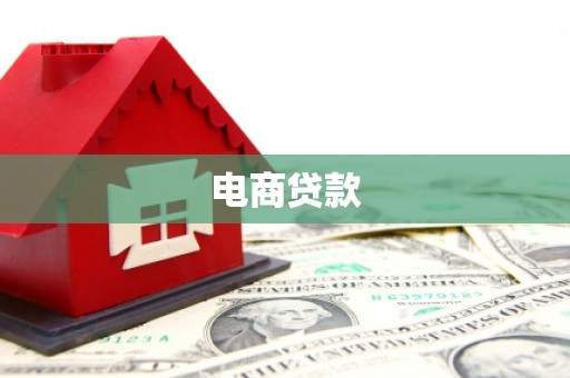 保亭电商贷款
