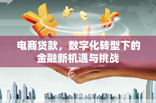 邵武电商贷款，数字化转型下的金融新机遇与挑战