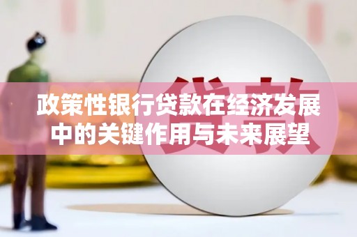 长洲政策性银行贷款在经济发展中的关键作用与未来展望