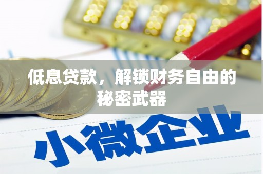 白银低息贷款，解锁财务自由的秘密武器