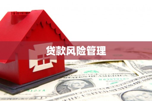 莱城贷款风险管理