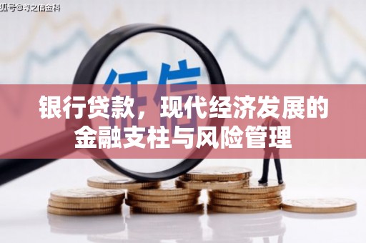 务川银行贷款，现代经济发展的金融支柱与风险管理