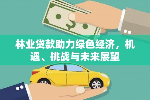会同林业贷款助力绿色经济，机遇、挑战与未来展望