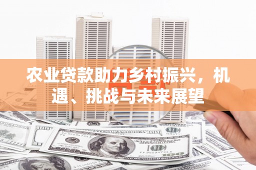长洲农业贷款助力乡村振兴，机遇、挑战与未来展望