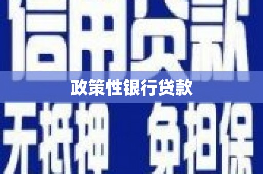 自贡政策性银行贷款
