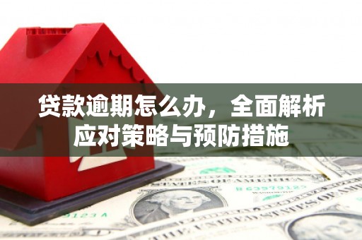 青浦贷款逾期怎么办，全面解析应对策略与预防措施