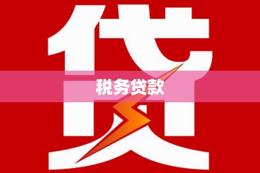 玉山税务贷款