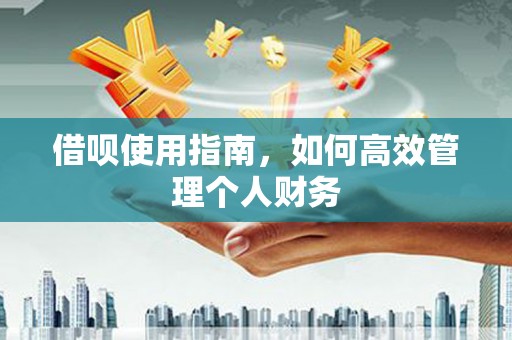 洋县借呗使用指南，如何高效管理个人财务