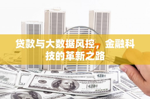 日喀则贷款与大数据风控，金融科技的革新之路