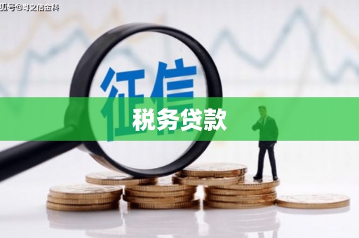 天台税务贷款