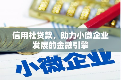 坪山新区信用社贷款，助力小微企业发展的金融引擎