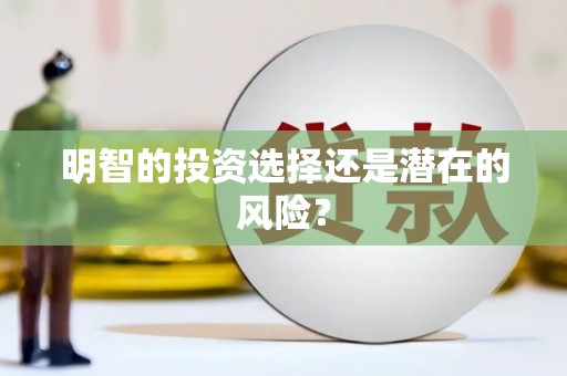 静乐明智的投资选择还是潜在的风险？
