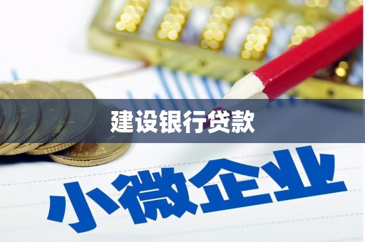 桃江建设银行贷款