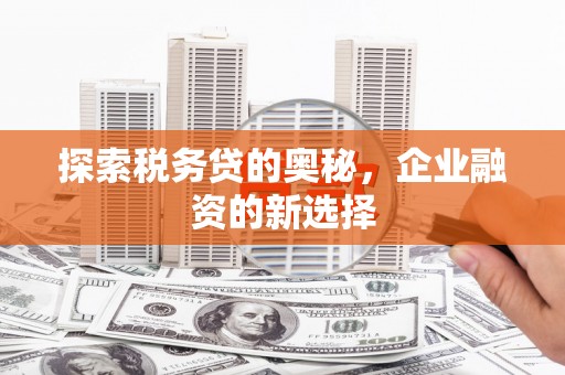 晋州探索税务贷的奥秘，企业融资的新选择