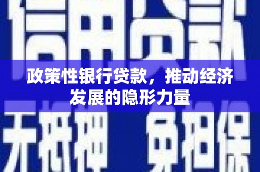 玄武政策性银行贷款，推动经济发展的隐形力量
