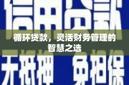 石家庄循环贷款，灵活财务管理的智慧之选