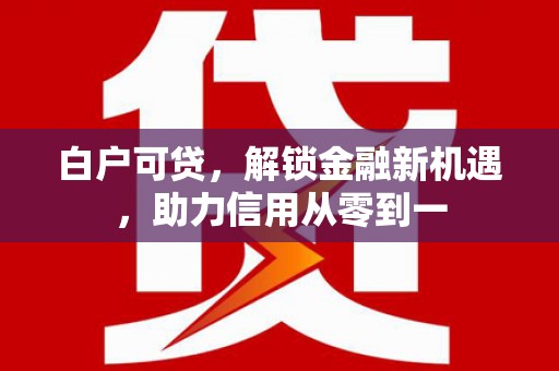 大林白户可贷，解锁金融新机遇，助力信用从零到一