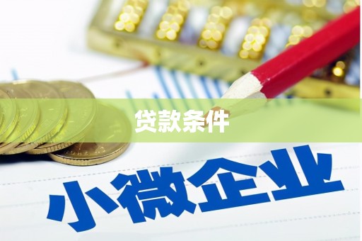 芦淞贷款条件