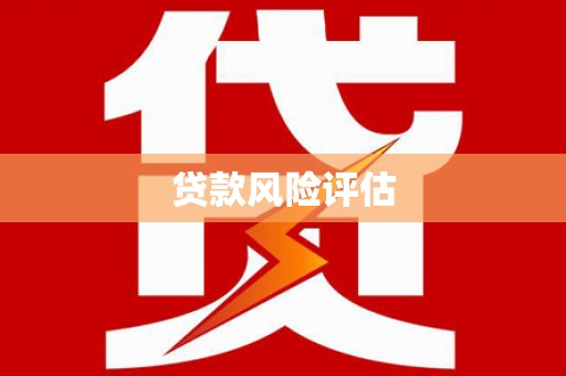 临邑贷款风险评估