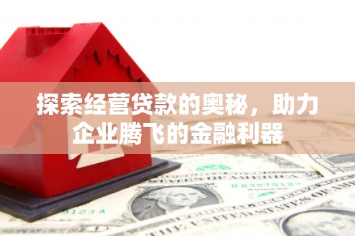 碌曲探索经营贷款的奥秘，助力企业腾飞的金融利器