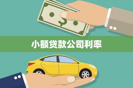 八宿小额贷款公司利率