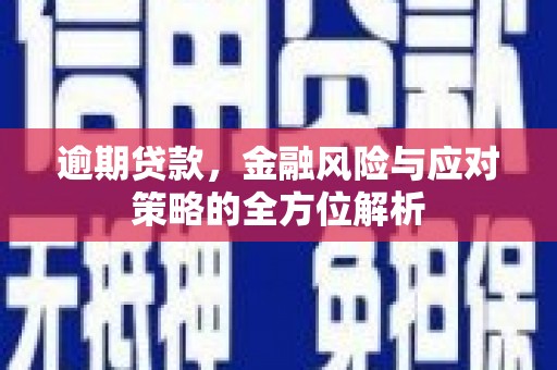 银川逾期贷款，金融风险与应对策略的全方位解析