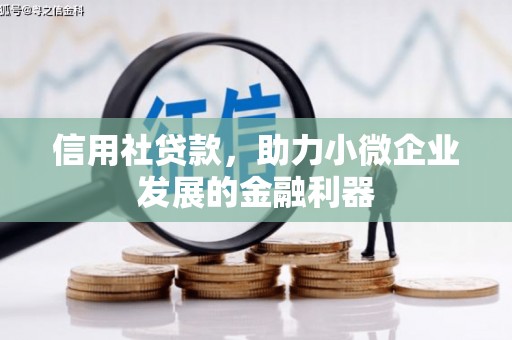 南岸信用社贷款，助力小微企业发展的金融利器