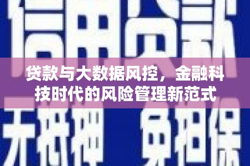 望谟贷款与大数据风控，金融科技时代的风险管理新范式