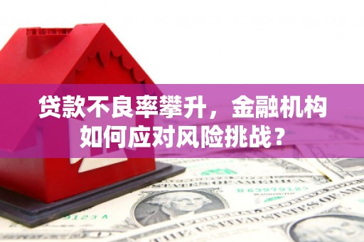 城东贷款不良率攀升，金融机构如何应对风险挑战？