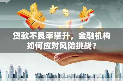 新会贷款不良率攀升，金融机构如何应对风险挑战？