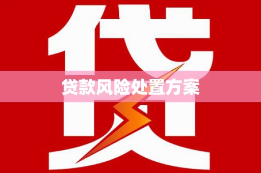新和贷款风险处置方案