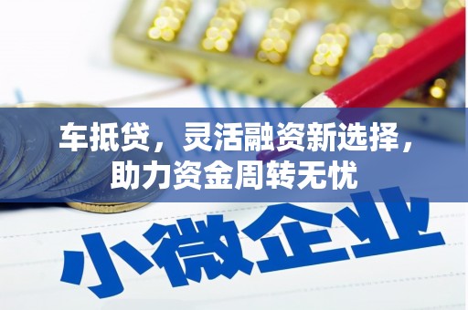 曲水车抵贷，灵活融资新选择，助力资金周转无忧