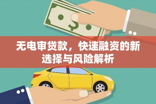 蒙阴无电审贷款，快速融资的新选择与风险解析