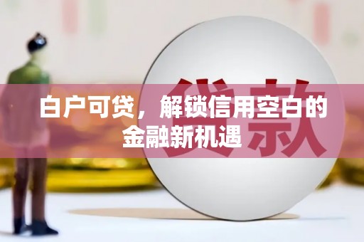 库尔勒白户可贷，解锁信用空白的金融新机遇