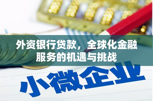 阿勒泰外资银行贷款，全球化金融服务的机遇与挑战
