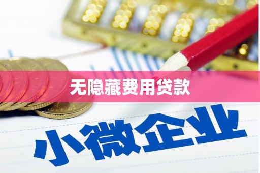 广水无隐藏费用贷款