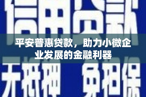安岳平安普惠贷款，助力小微企业发展的金融利器
