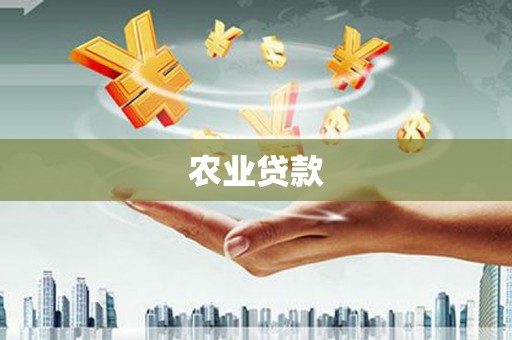 岱岳农业贷款