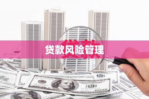 元宝山贷款风险管理