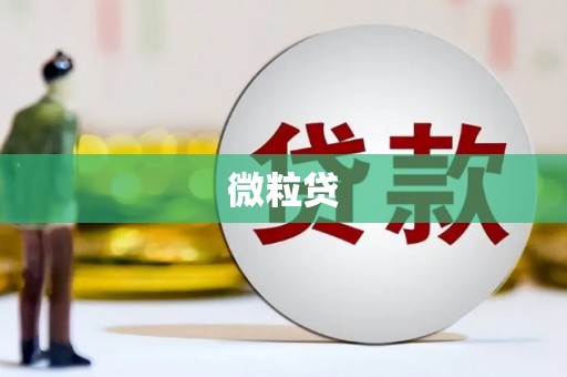 诸暨微粒贷
