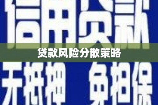 盐田贷款风险分散策略