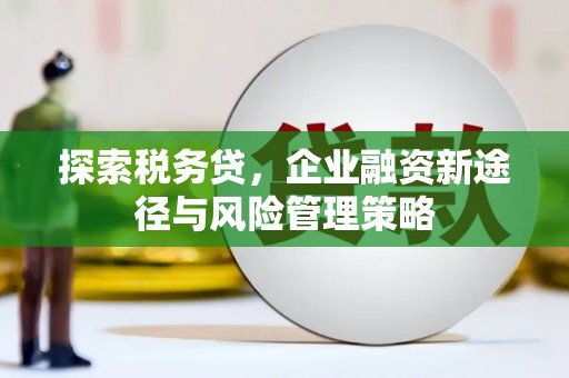 献县探索税务贷，企业融资新途径与风险管理策略